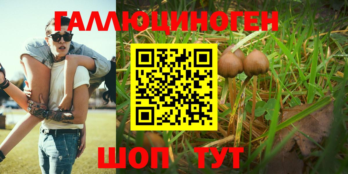 Псилоцибиновые грибы GOLDEN TEACHER Егорьевск