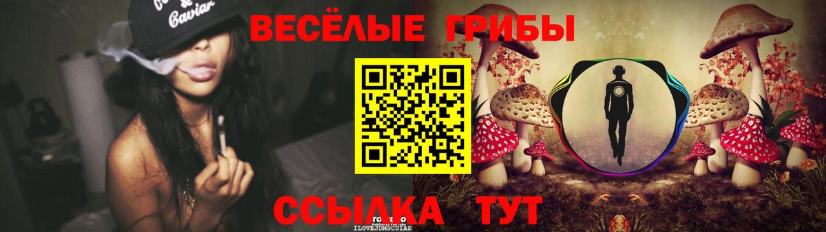 Егорьевск  где продают   Вход с VPN  Псилоцибиновые грибы мухоморы 